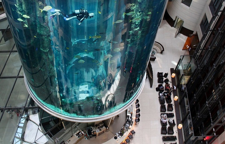 Detail akvária  v hotelu Radisson Blu