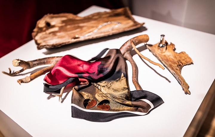 Detaily moodu celé události