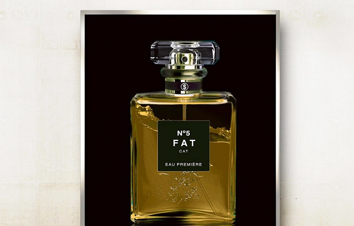 Axel Crieger, Fat Cat