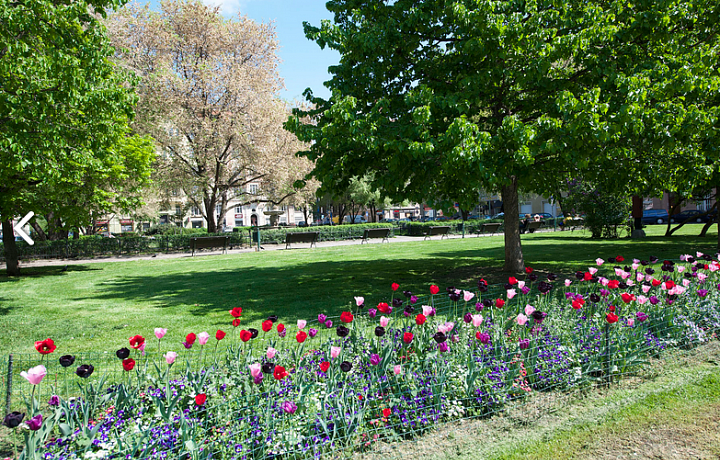 Rozkvetlé parky na Praze 5