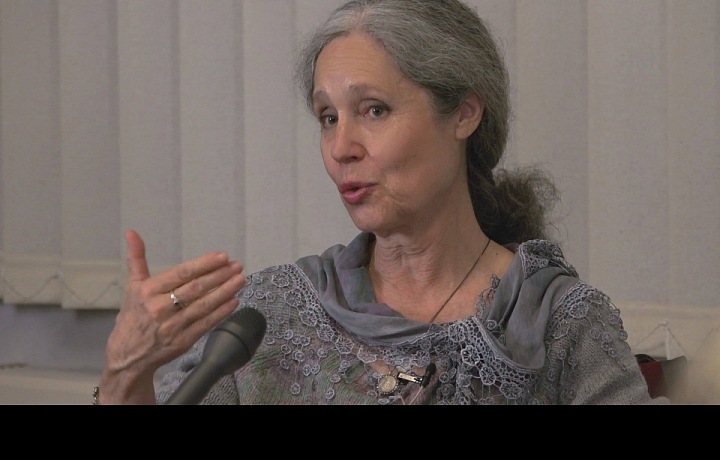 Fáňa byla aktivní v mnoha oblastech. 