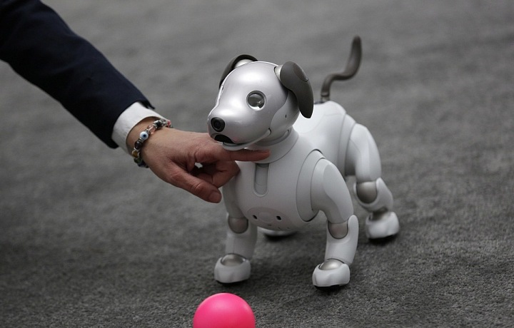 Robotic Dog AIBO