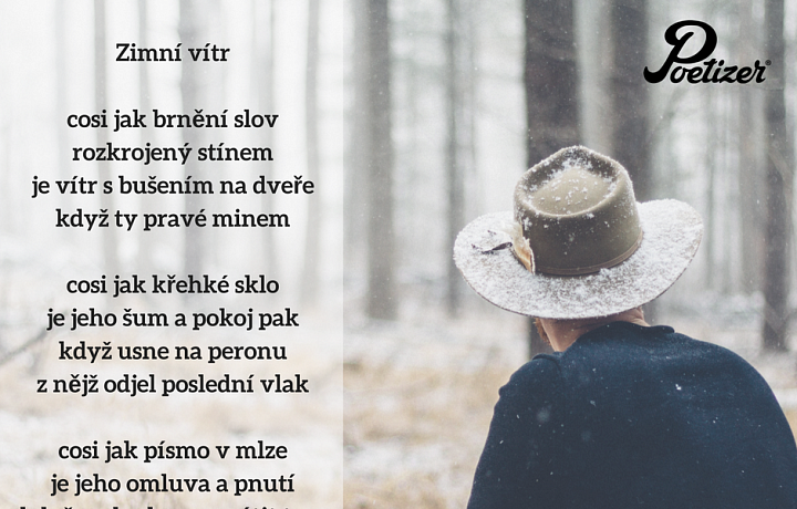 Jak se vám básně líbí?