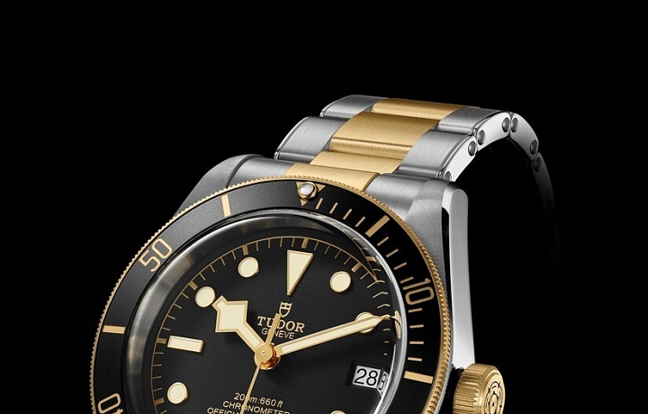 Tudor Heritage Black Bay S&G