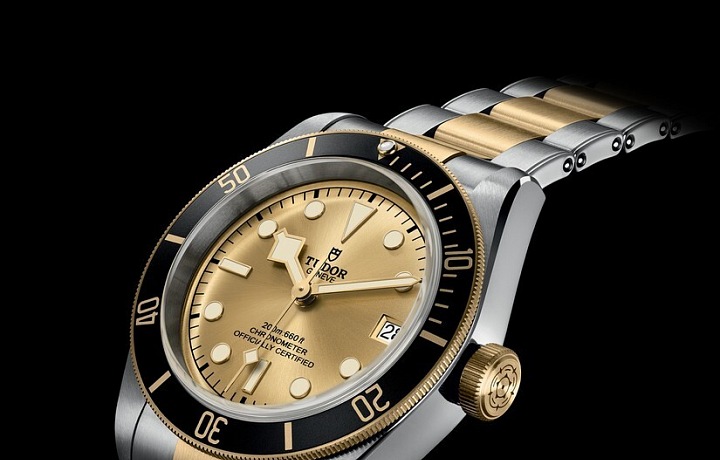 Tudor Heritage Black Bay S&G
