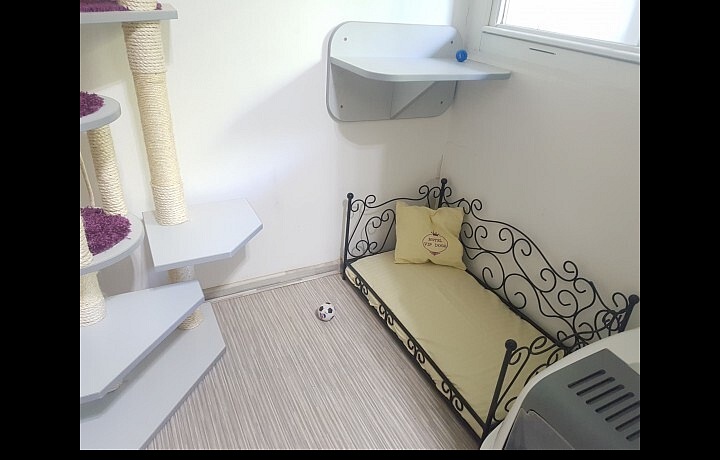 Vlastní postel a miska, která kočka tohle může říct?