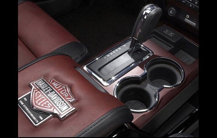 Detail logo Harley Davidsom