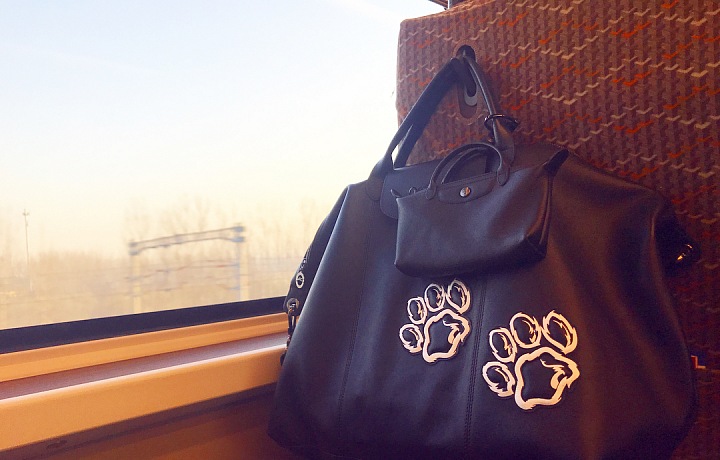 Longchamp a Mr. Bags