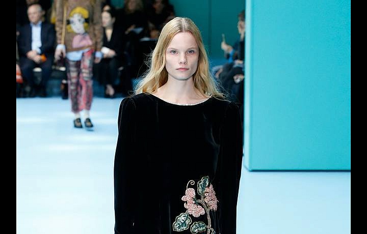 Podzim patří sametu