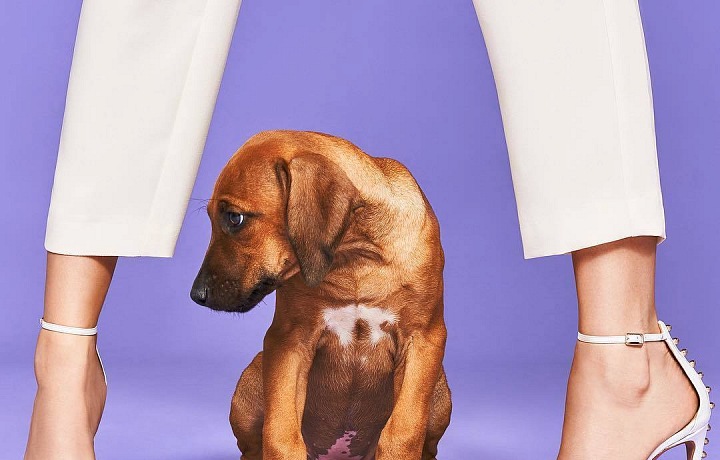 Božská kolekce SS 2018