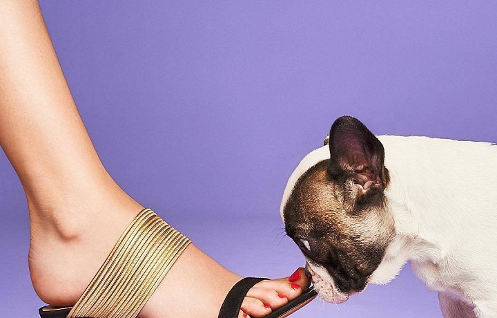 Oni už si kolekci zamilovali...