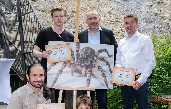 V Praze v zoo mají nyní atrakci největšího pavouka v Evropě. 