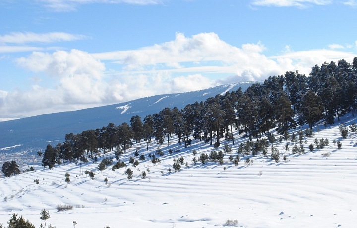 barefootplustravel.com