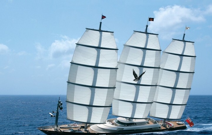 Maltese Falcon