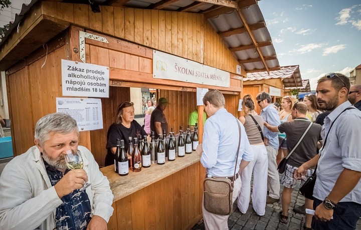 The Mělník wine, Viticulture Školní statek