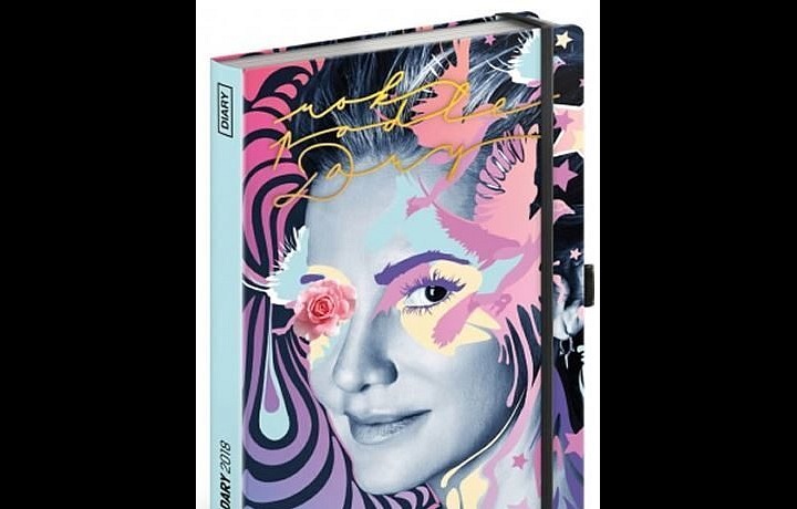 Diář Dary Rolins 2018 - Rok podle Dary 