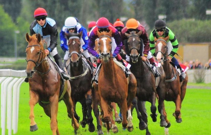 Dostihy Velká Chuchle 