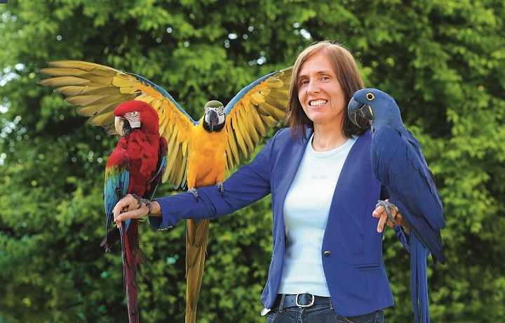 Photos with parrots, Šeberov