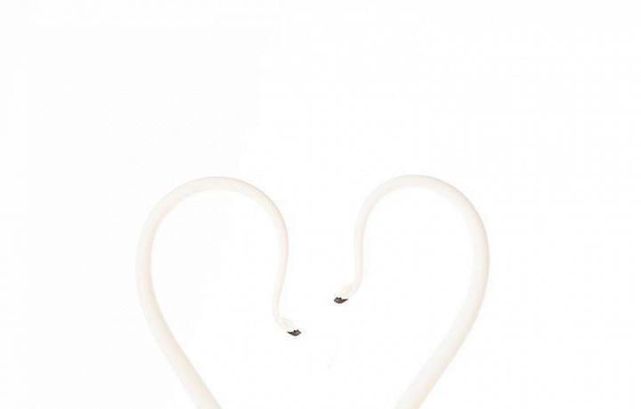 Čokoládové labutě