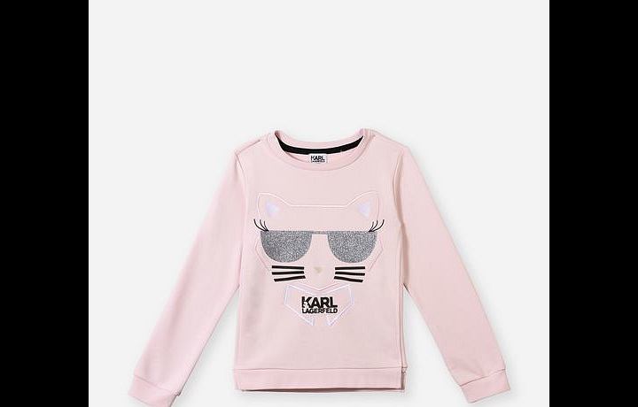 Milovaný mazlíček Choupette