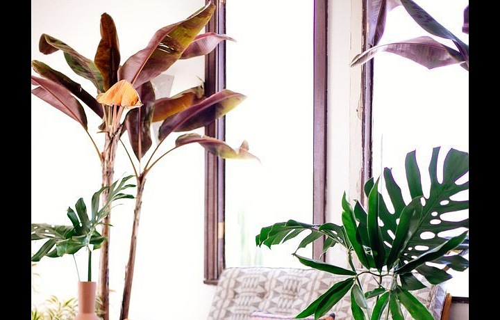 Interiér ve stylu Jungalow