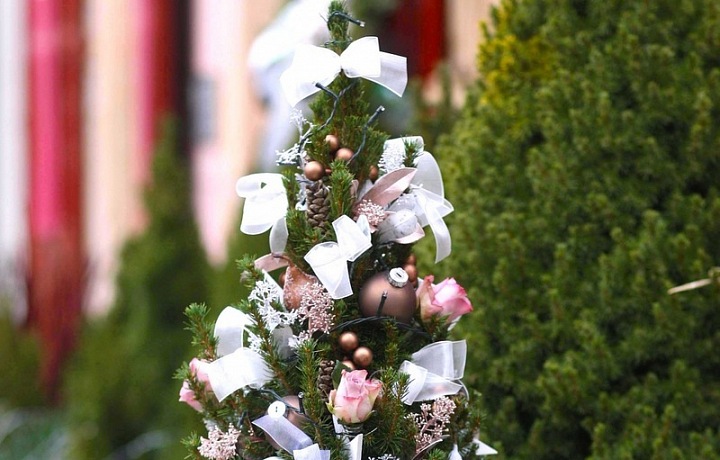  Květinářství Metamorphosis