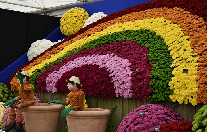 Květiny byly v působivých instalacích. 