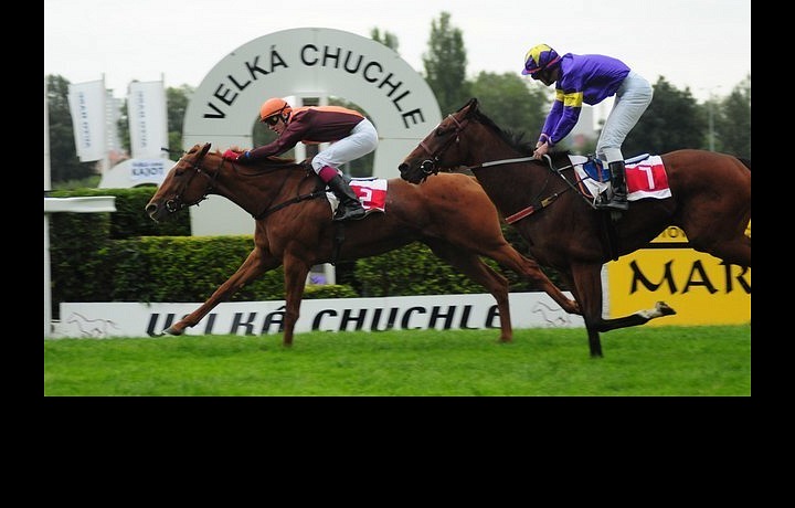 Dostihy Velká Chuchle 