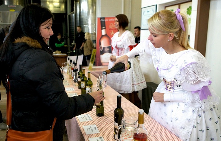 Festival otevřených sklepů