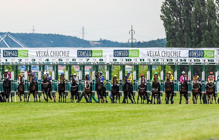 Dostihy Velká Chuchle 