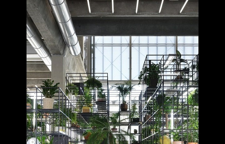 Rashid Johnson Antoine's Organ,