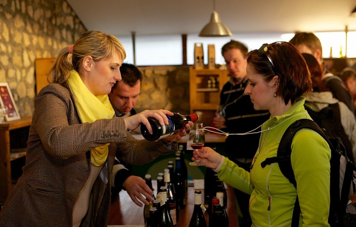 Festival otevřených sklepů