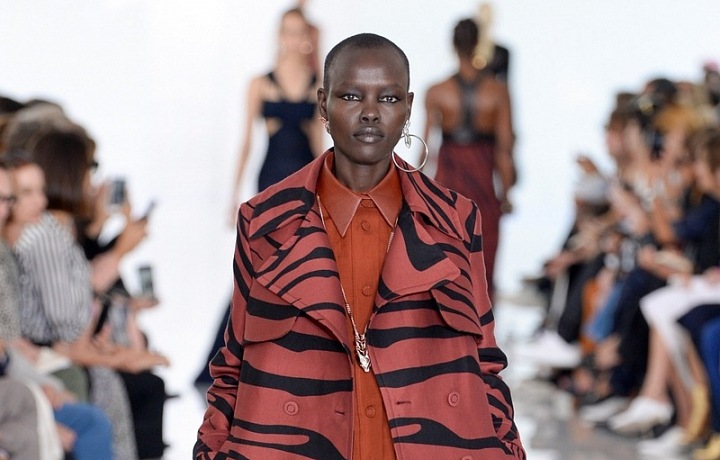 Zebří extravagance!