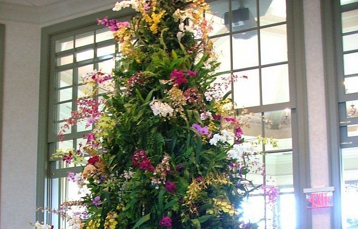 Vánoční strom s orchidejemi