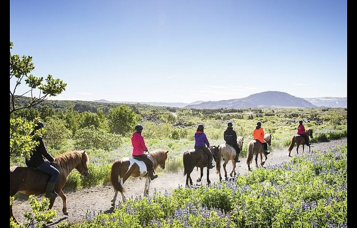 Zlatý okruh na Islandu