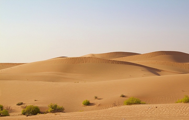 Nezapomenutelný pobyt v poušti