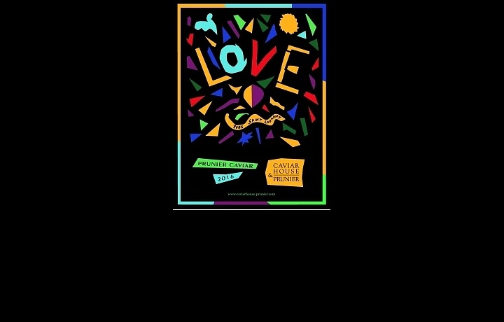 Spolupráce s módním domem Yves Saint Laurent