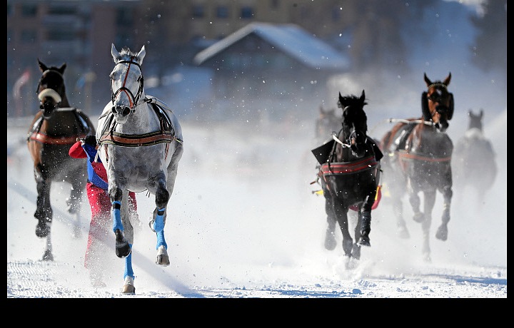 První závody White Turf 2020