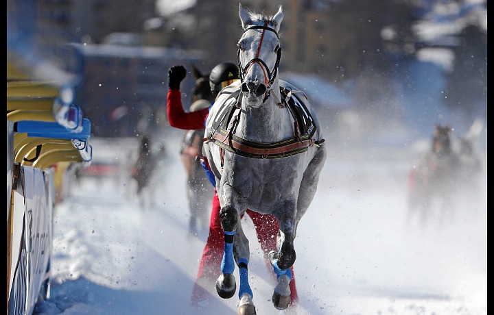 První závody White Turf 2020