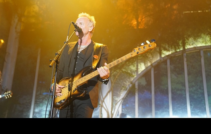 Sting