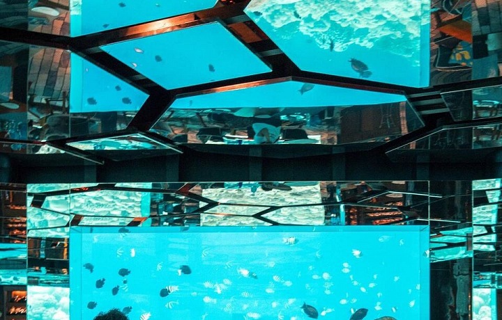 Anantara Kihavah Villas