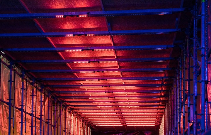 Signal festival 2017 v říjnu