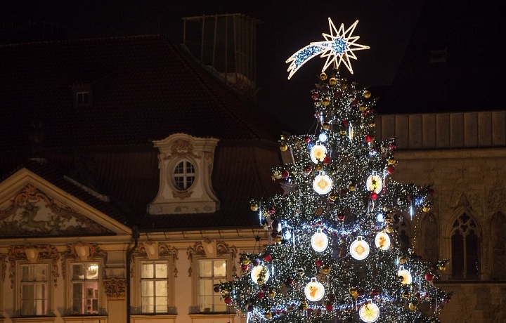 Vánoční stromeček v Praze