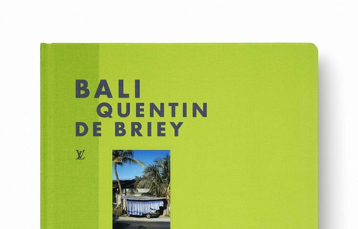 Inspirace Louis Vuitton