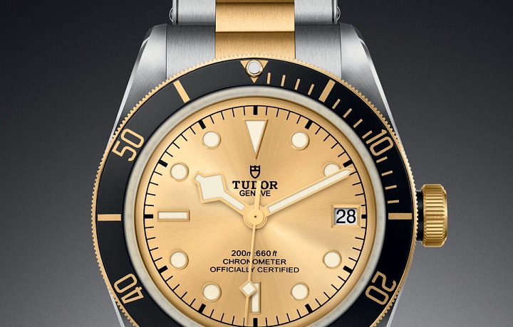 Tudor Heritage Black Bay S&G