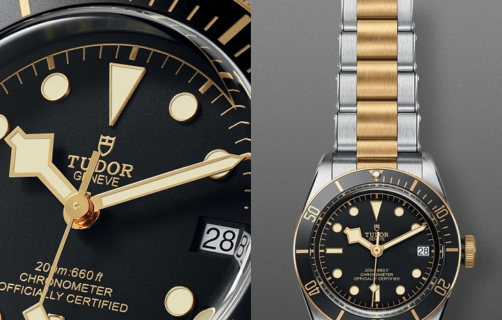Tudor Heritage Black Bay S&G