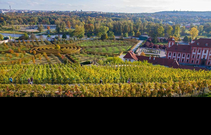 Výhled, v pozadí zámek v Tróji