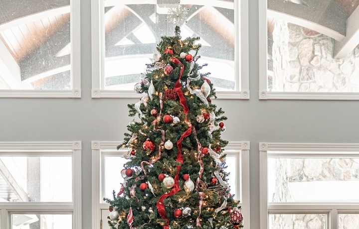 Zatímco Češi jsou rozděleni téměř půl na půl, pokud jde o volbu mezi živým nebo umělým vánočním stromečkem, Slováci v tom mají jasno a preferují ten umělý.