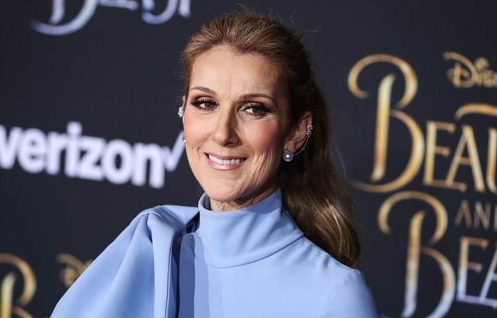 Zpěvačka Celine Dion