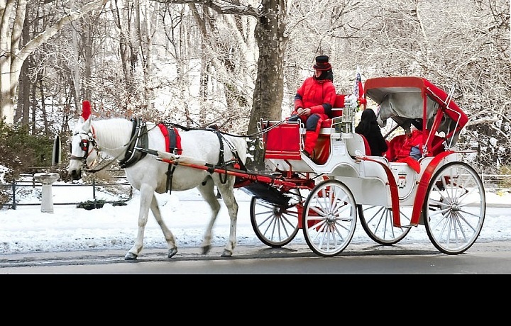 Central park a projížďka